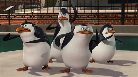 os pinguins de madagascar redecanais|os pinguins de madagascar completo.
